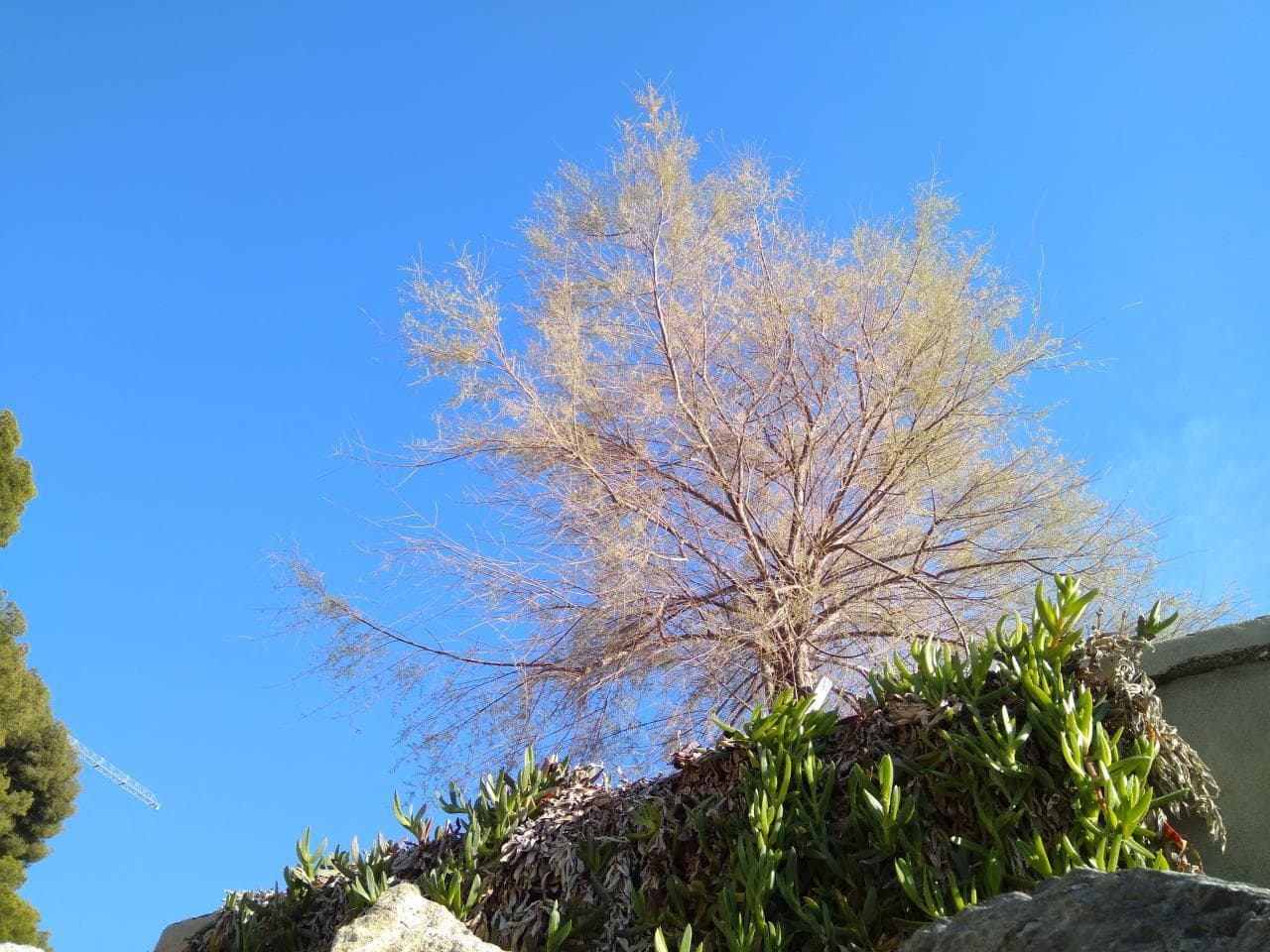 Scattata con Xiaomi Mi Max